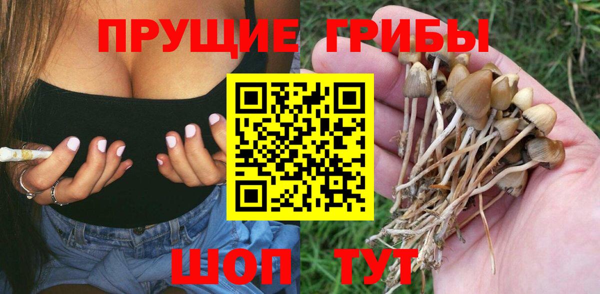 Югорск  Псилоцибиновые грибы мицелий  Галлюциногенные грибы Cubensis  Вход с VPN 