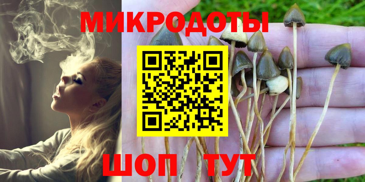 Галлюциногенные грибы Psilocybine cubensis Югорск